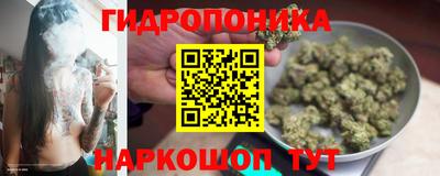 амф Дубна