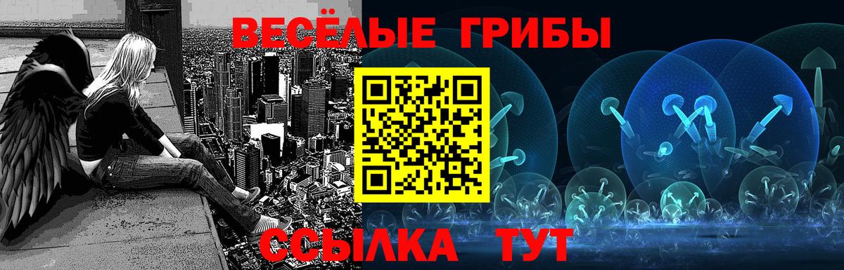 Галлюциногенные грибы мухоморы  Вход с VPN  Новоалександровск 